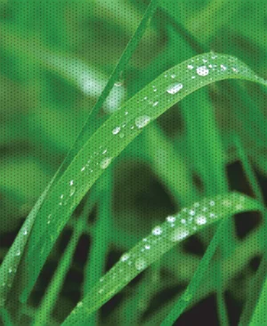 Perfecto<sup>®</sup> Micro FX Panel