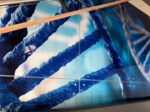 Clearsorber<sup>®</sup> Panels FX